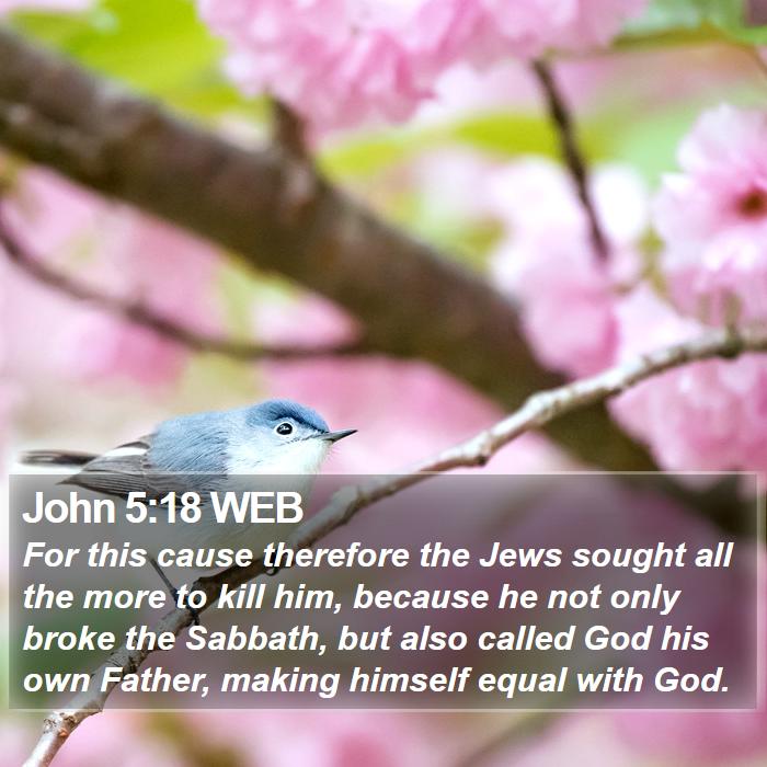 John 5:18 WEB Bible Study