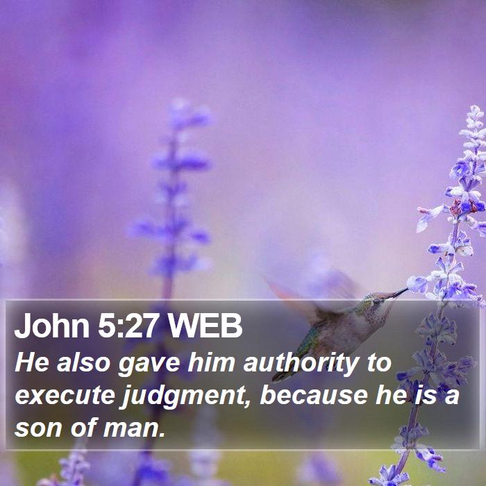 John 5:27 WEB Bible Study