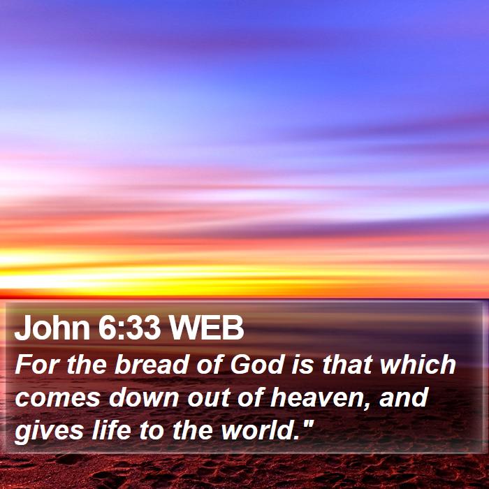 John 6:33 WEB Bible Study