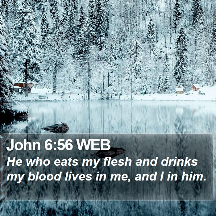 John 6:56 WEB Bible Study