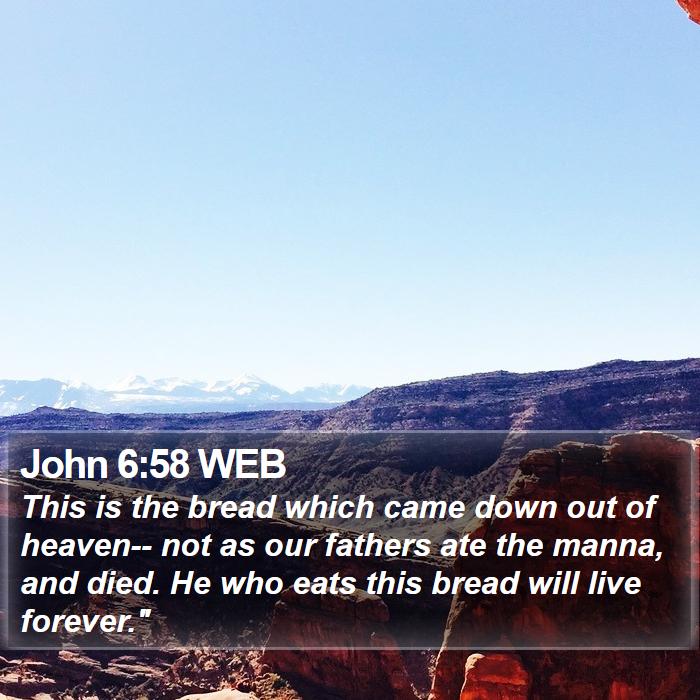 John 6:58 WEB Bible Study