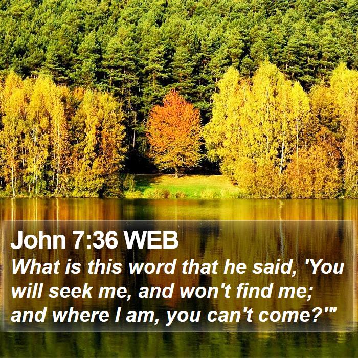 John 7:36 WEB Bible Study