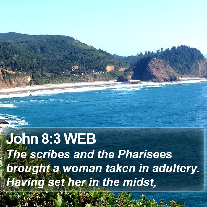 John 8:3 WEB Bible Study