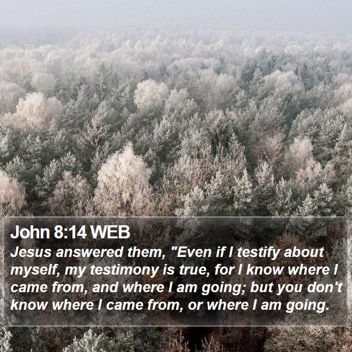 John 8:14 WEB Bible Study