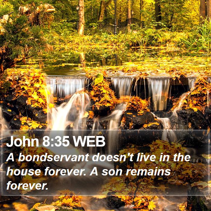 John 8:35 WEB Bible Study