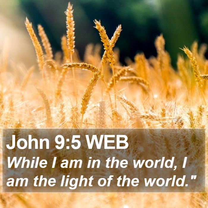 John 9:5 WEB Bible Study