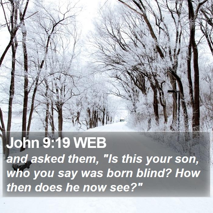 John 9:19 WEB Bible Study