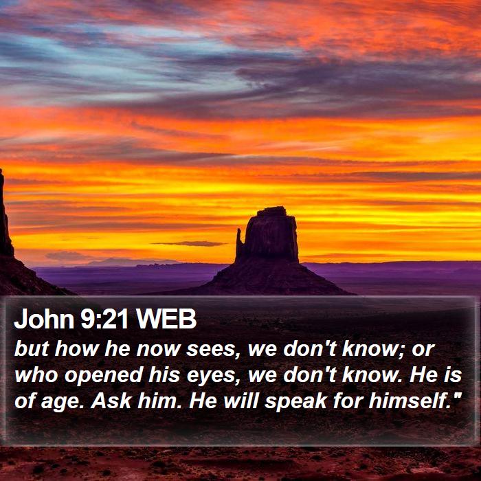 John 9:21 WEB Bible Study