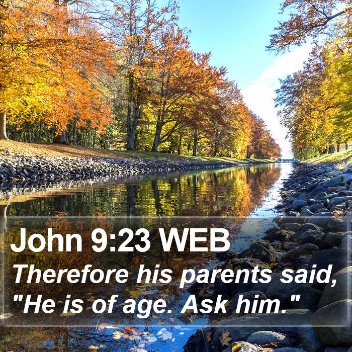 John 9:23 WEB Bible Study