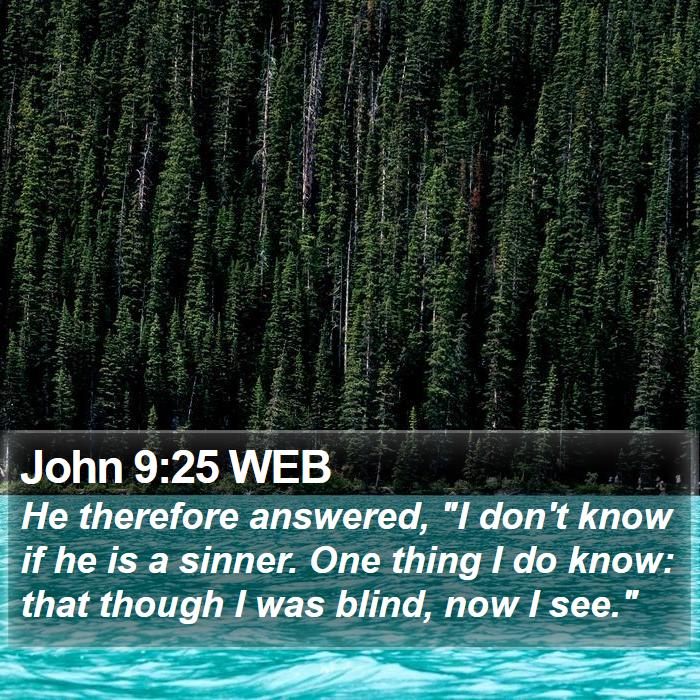 John 9:25 WEB Bible Study