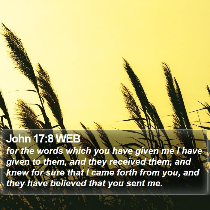 John 17:8 WEB Bible Study