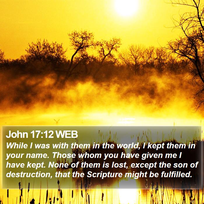 John 17:12 WEB Bible Study