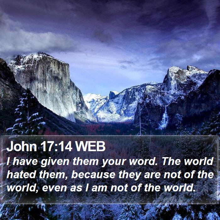 John 17:14 WEB Bible Study