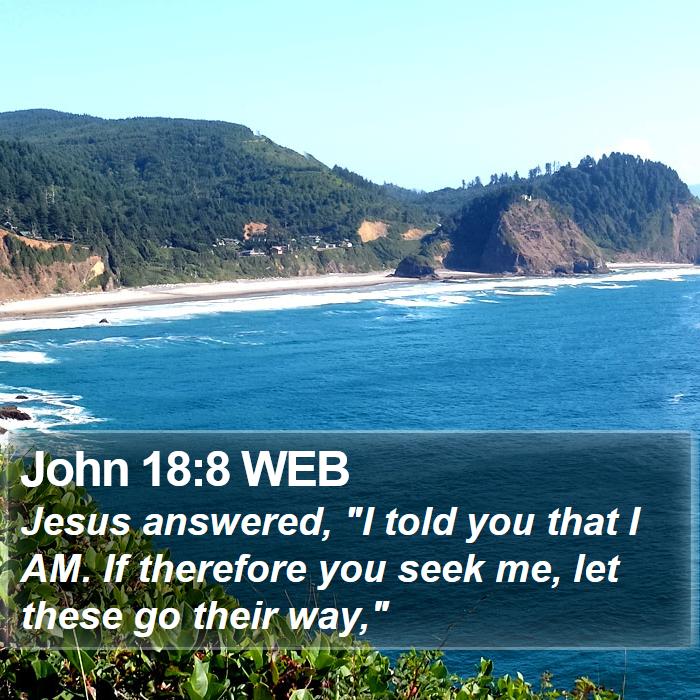 John 18:8 WEB Bible Study