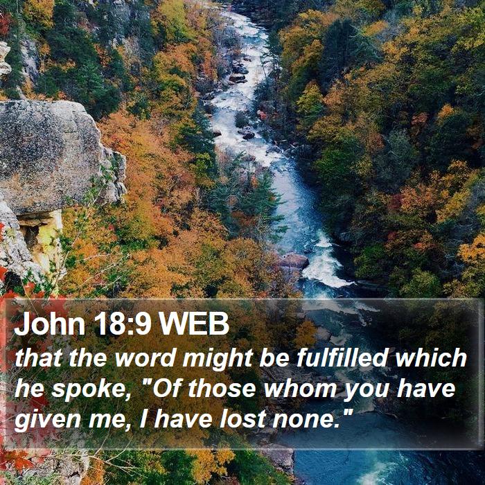 John 18:9 WEB Bible Study