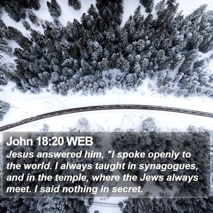 John 18:20 WEB Bible Study