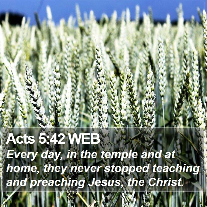 Acts 5:42 WEB Bible Study