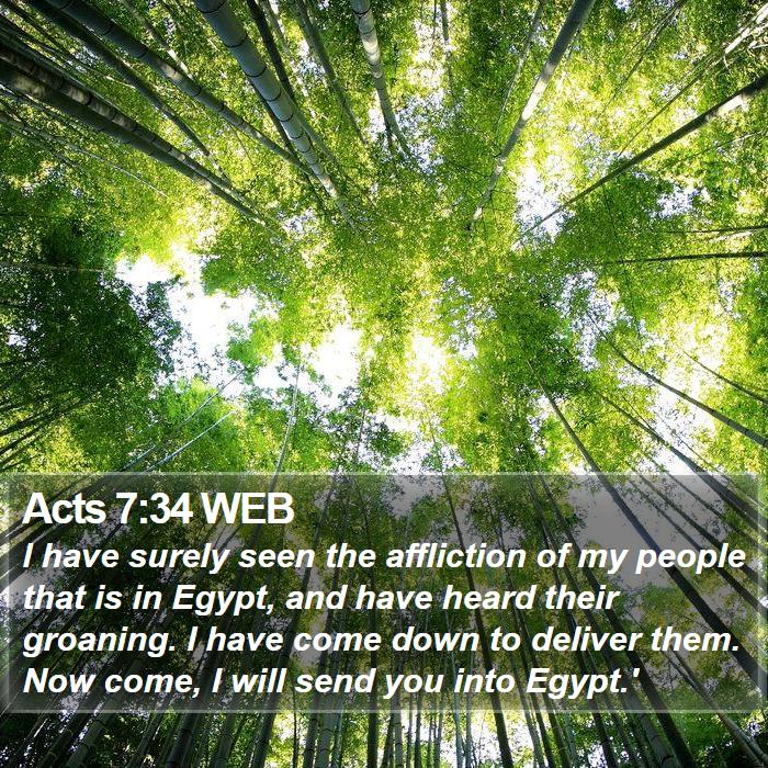 Acts 7:34 WEB Bible Study