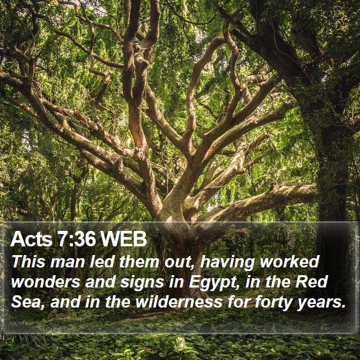 Acts 7:36 WEB Bible Study