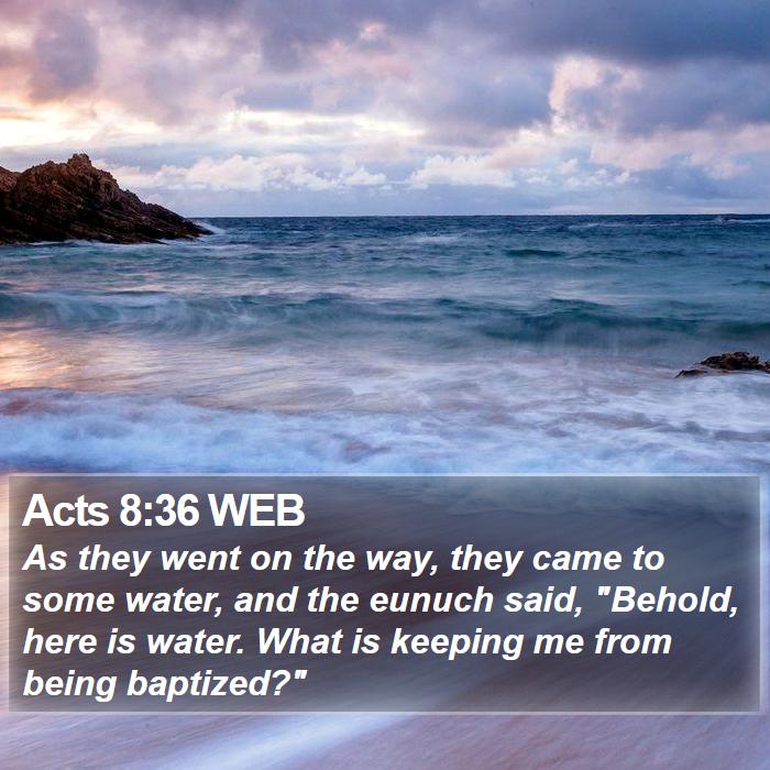 Acts 8:36 WEB Bible Study