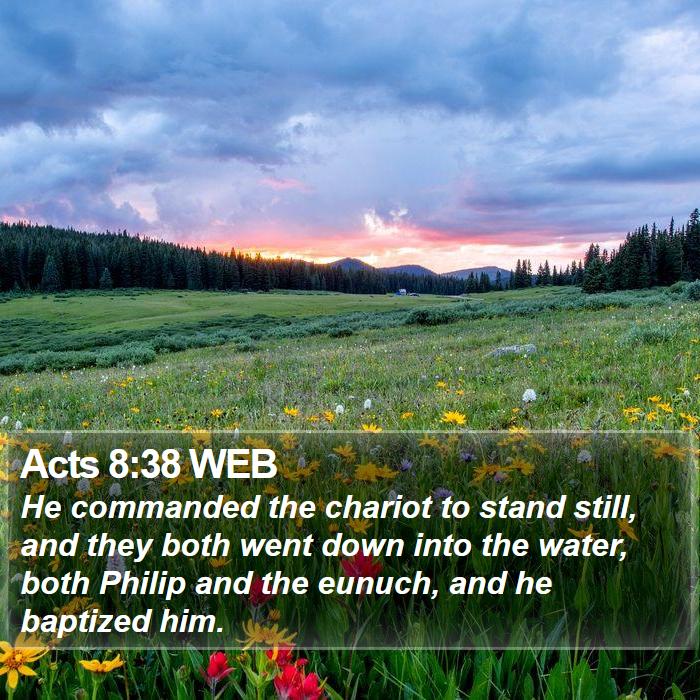 Acts 8:38 WEB Bible Study