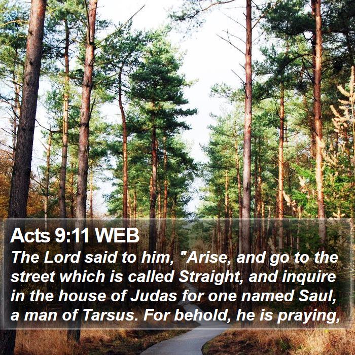 Acts 9:11 WEB Bible Study