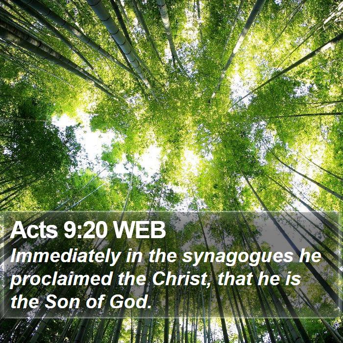 Acts 9:20 WEB Bible Study