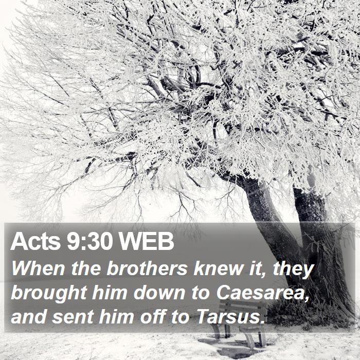 Acts 9:30 WEB Bible Study