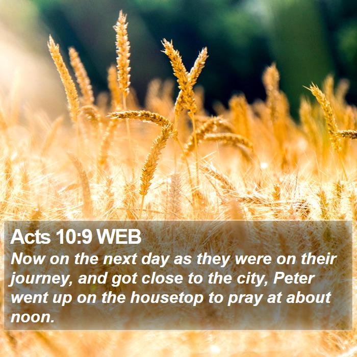 Acts 10:9 WEB Bible Study