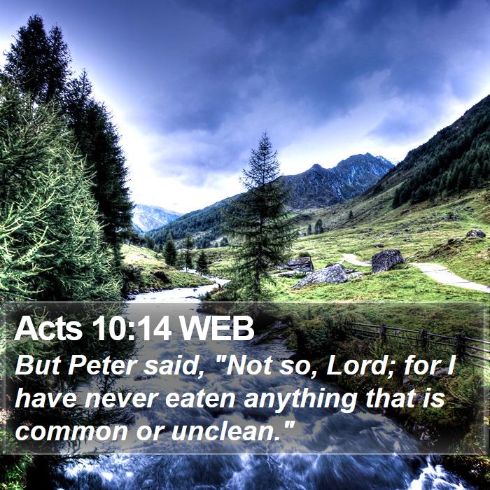 Acts 10:14 WEB Bible Study