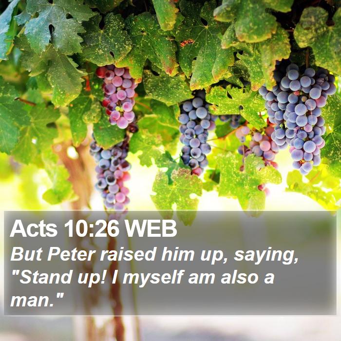 Acts 10:26 WEB Bible Study