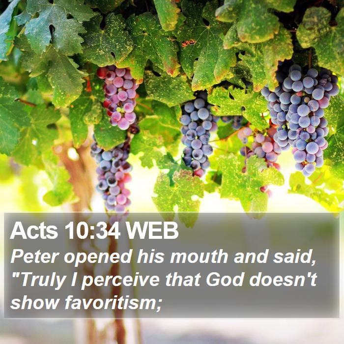 Acts 10:34 WEB Bible Study