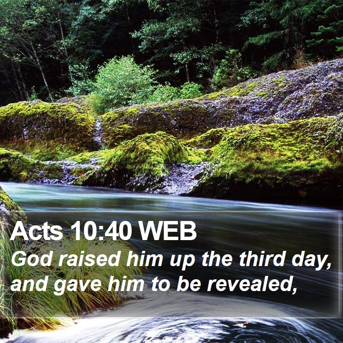 Acts 10:40 WEB Bible Study