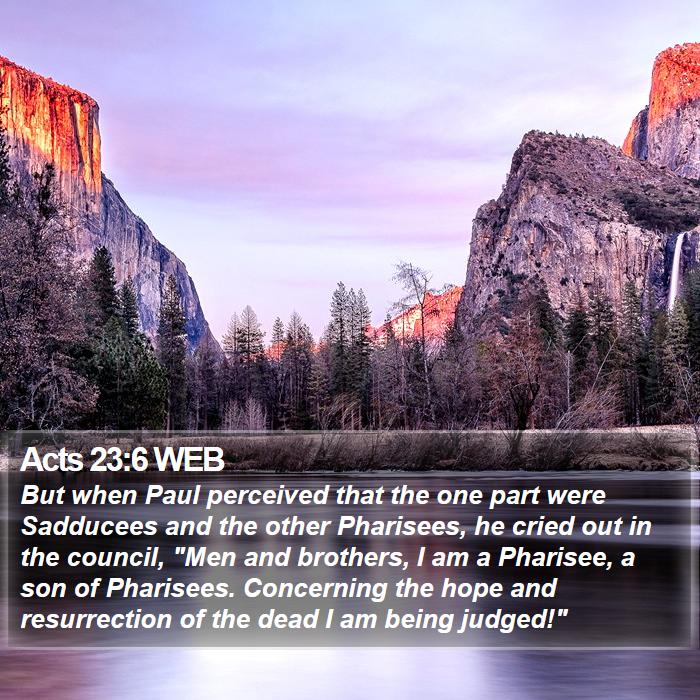 Acts 23:6 WEB Bible Study