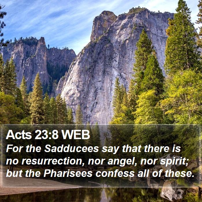 Acts 23:8 WEB Bible Study