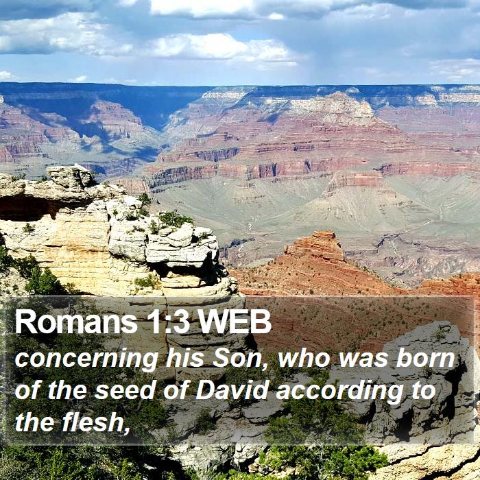 Romans 1:3 WEB Bible Study