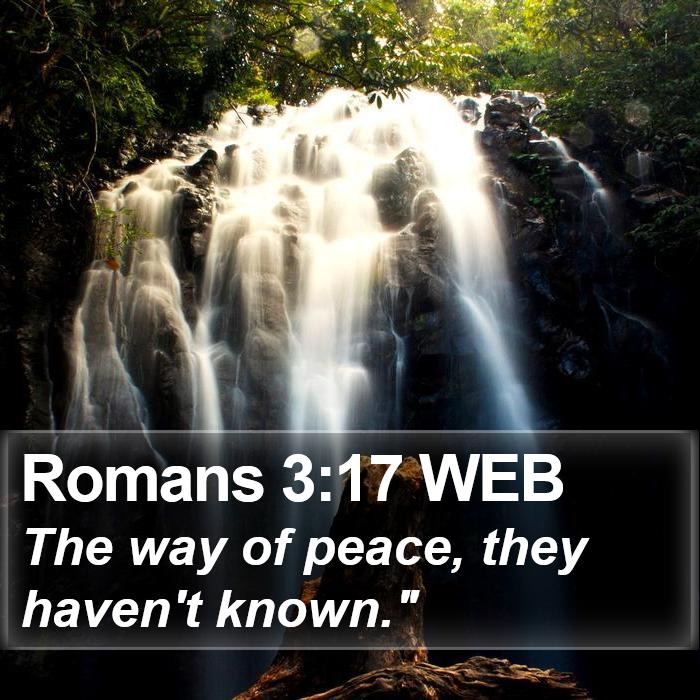 Romans 3:17 WEB Bible Study