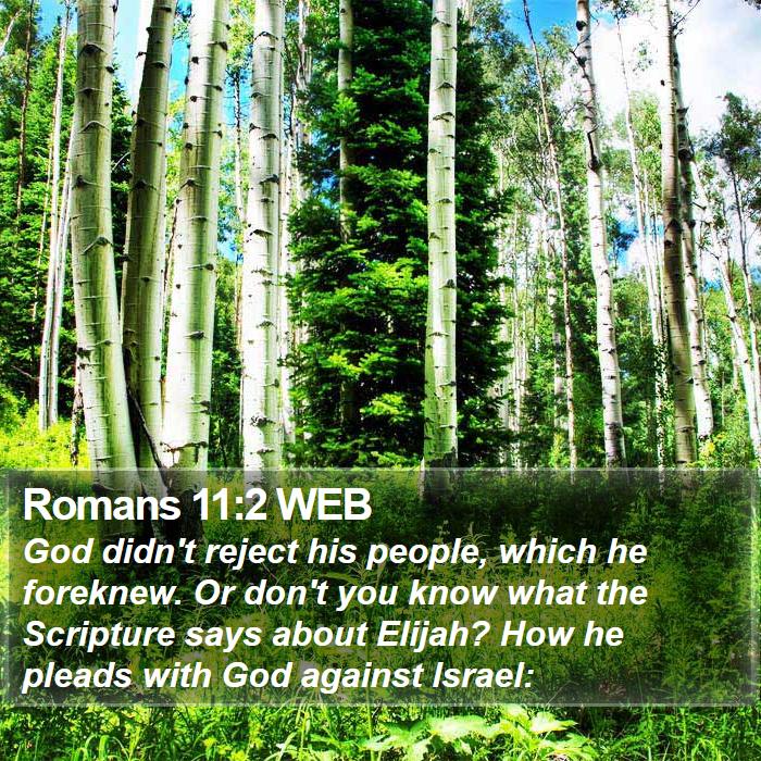 Romans 11:2 WEB Bible Study