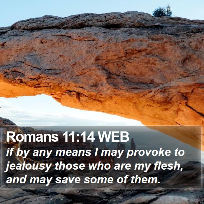 Romans 11:14 WEB Bible Study