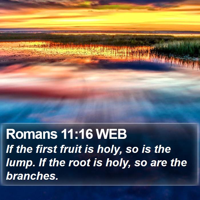 Romans 11:16 WEB Bible Study