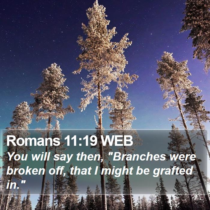 Romans 11:19 WEB Bible Study