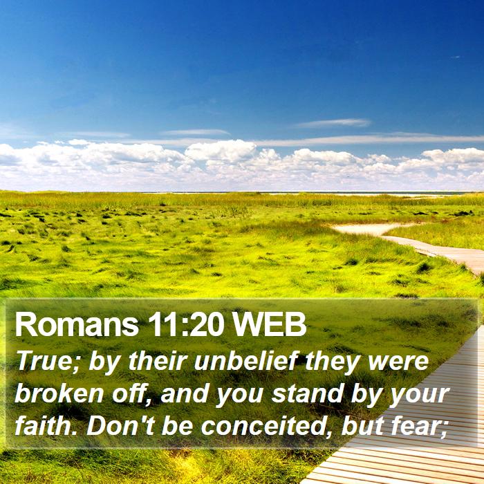 Romans 11:20 WEB Bible Study