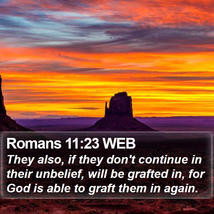 Romans 11:23 WEB Bible Study