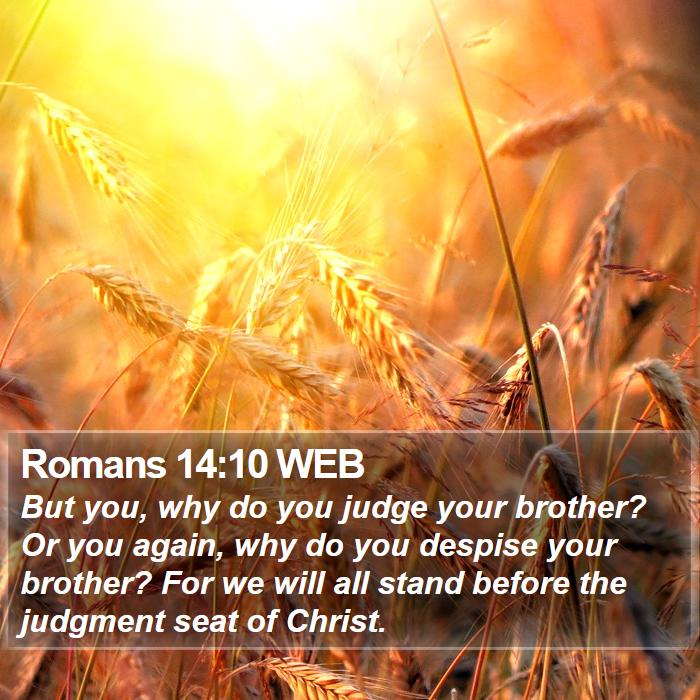 Romans 14:10 WEB Bible Study