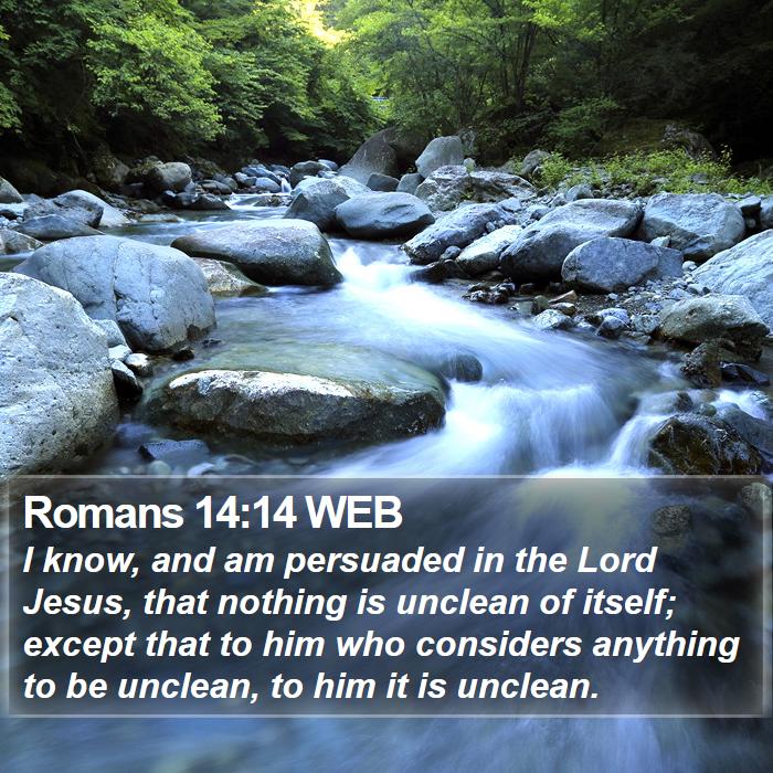 Romans 14:14 WEB Bible Study