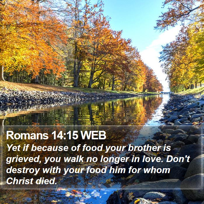 Romans 14:15 WEB Bible Study