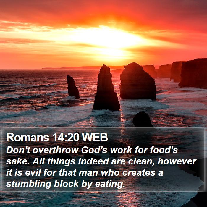 Romans 14:20 WEB Bible Study