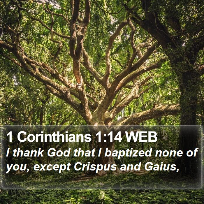 1 Corinthians 1:14 WEB Bible Study