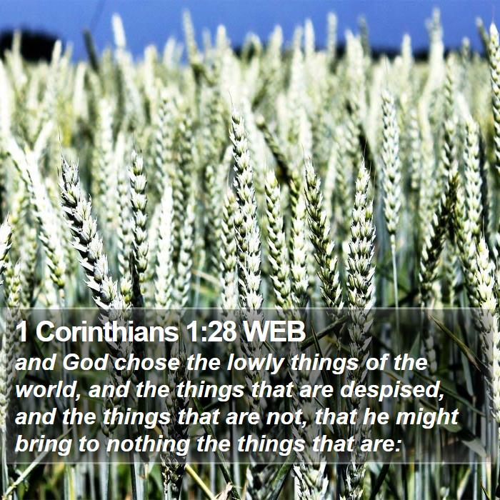 1 Corinthians 1:28 WEB Bible Study