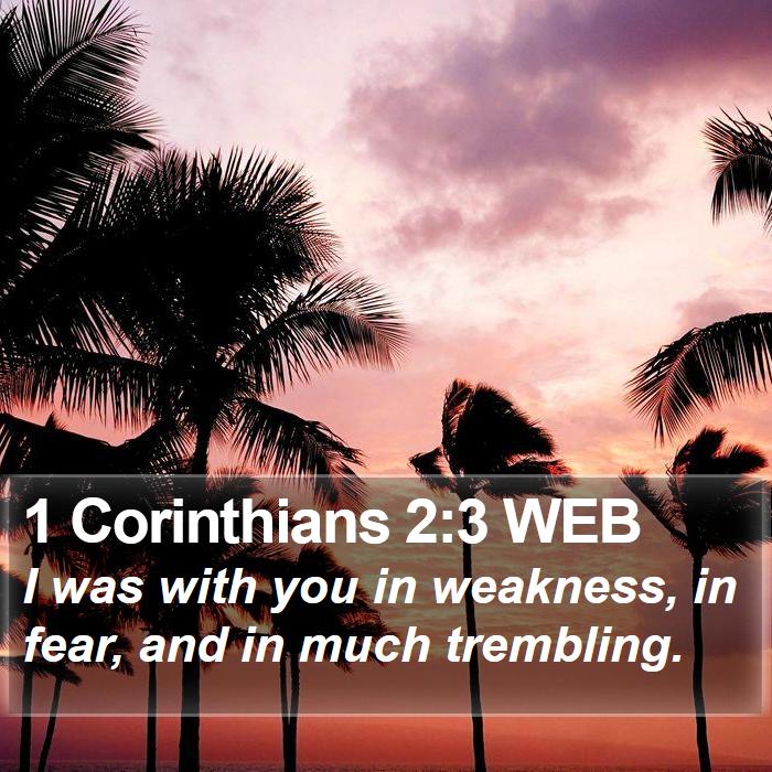 1 Corinthians 2:3 WEB Bible Study